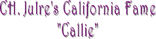 Julre's California Fame
"Callie"