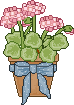 clipart/cn2cl6a.gif