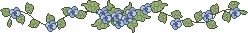 dividers/cn2ln3a.gif