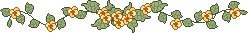 dividers/cn2ln3b.gif