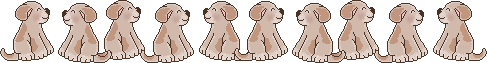 dividers/fy1ln6a.gif