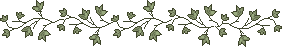 dividers/mn8ln2a.gif dividers/mn8ln2a.gif