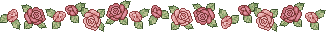 dividers/rr1ln1c.gif dividers/rr1ln1c.gif